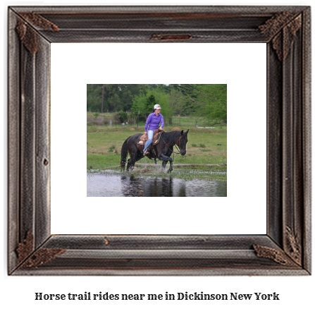 horse trail rides near me in Dickinson, New York